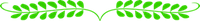 section divider